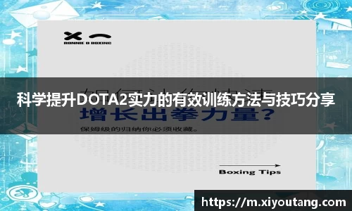 77体育电脑版