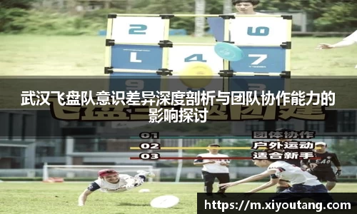 77体育电脑版