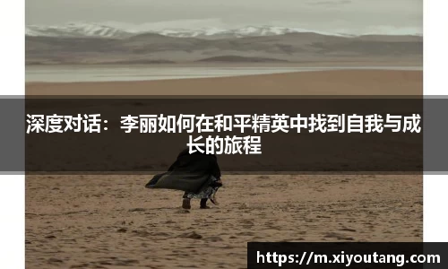 77体育电脑版
