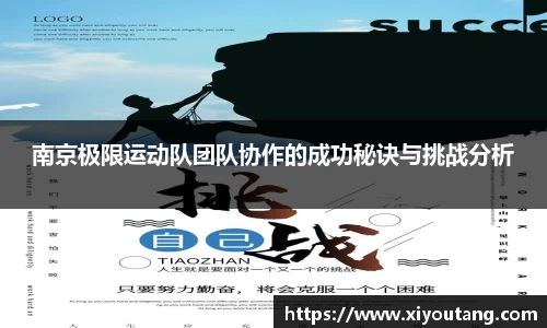 南京极限运动队团队协作的成功秘诀与挑战分析