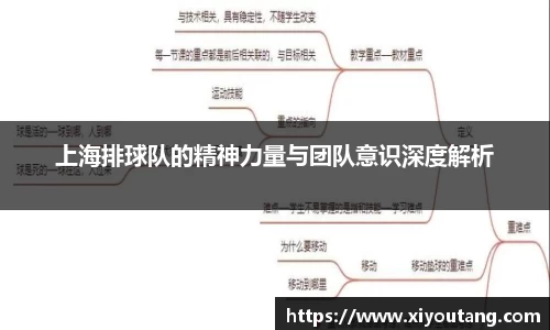 上海排球队的精神力量与团队意识深度解析