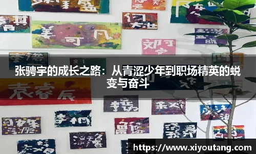 77体育电脑版