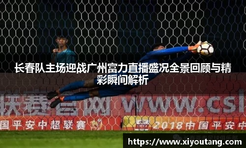 77体育电脑版