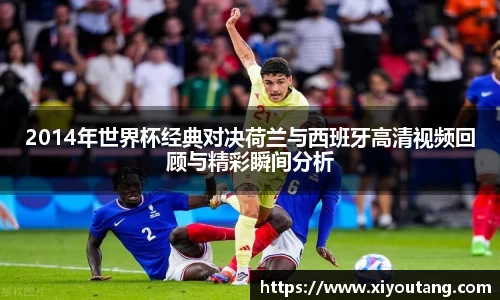 77体育app下载官网