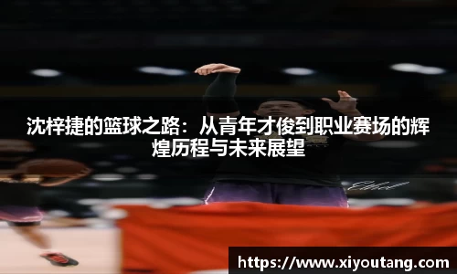 77体育官网