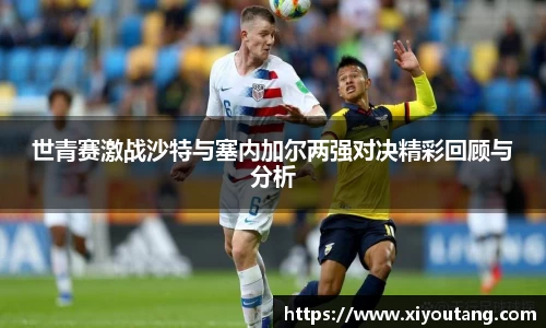 77体育电脑版