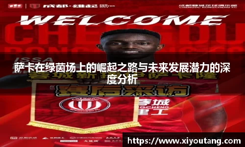 萨卡在绿茵场上的崛起之路与未来发展潜力的深度分析