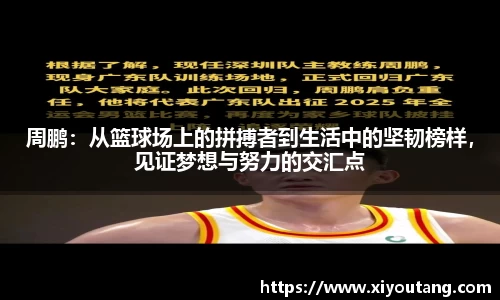 77体育电脑版