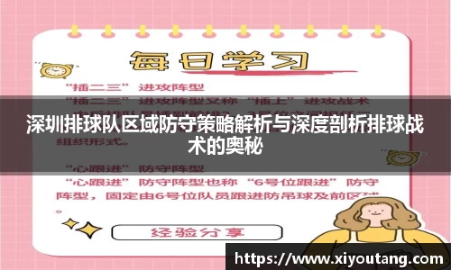 深圳排球队区域防守策略解析与深度剖析排球战术的奥秘