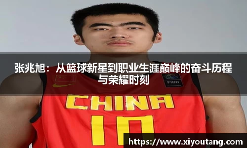张兆旭：从篮球新星到职业生涯巅峰的奋斗历程与荣耀时刻